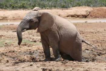 Are you stuck in the mud?