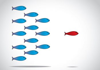 product manager role and why you need to lead
