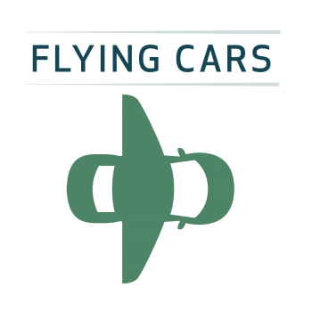 The flying car