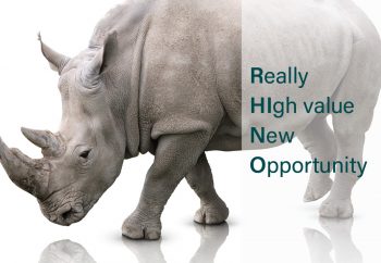 Taming the RHINO