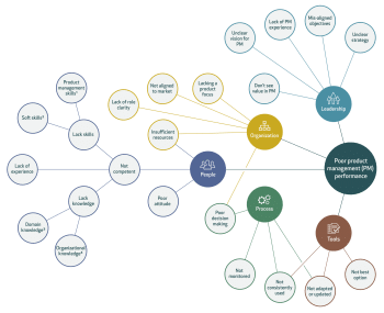 Product Management Maturity Model fishbone diagram