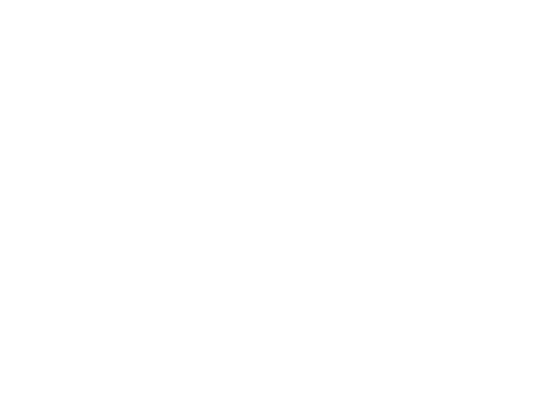 BAE Systems Logo
