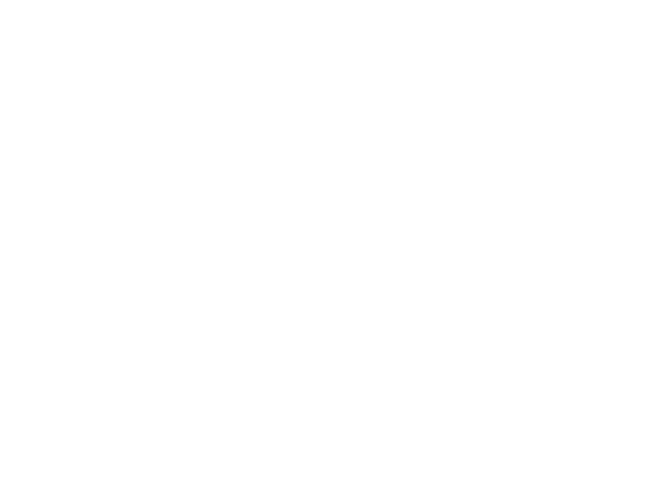 BT Logo