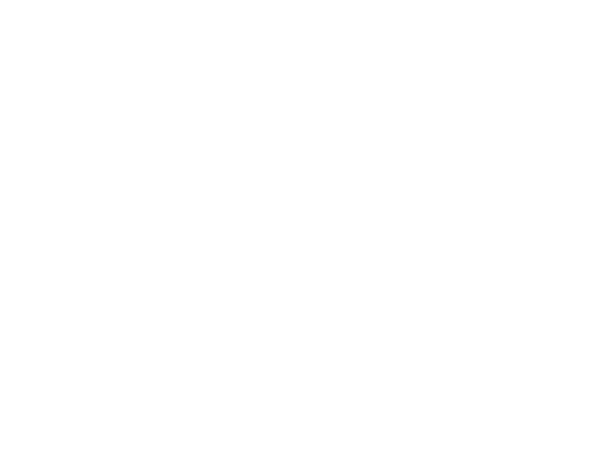 BT Logo