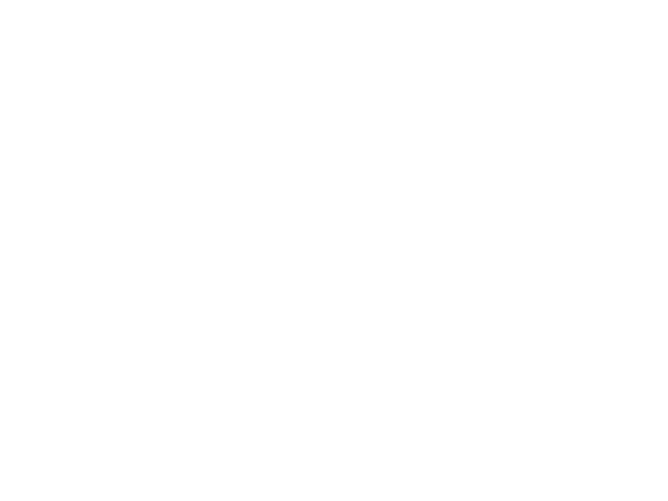 Colt Logo