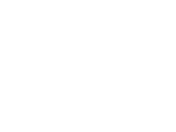 KPN Logo