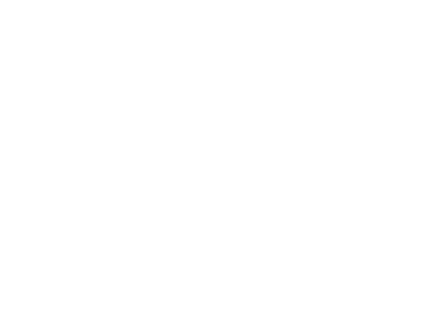 Nokia Logo