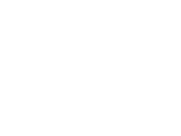 Sky Logo