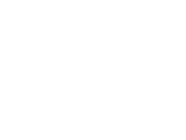 TomTom Logo
